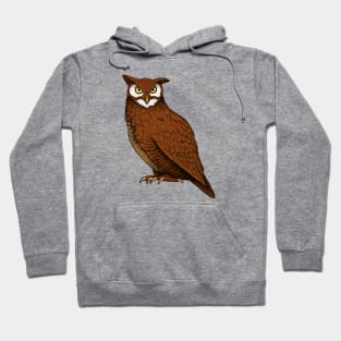 Owl Hoodie